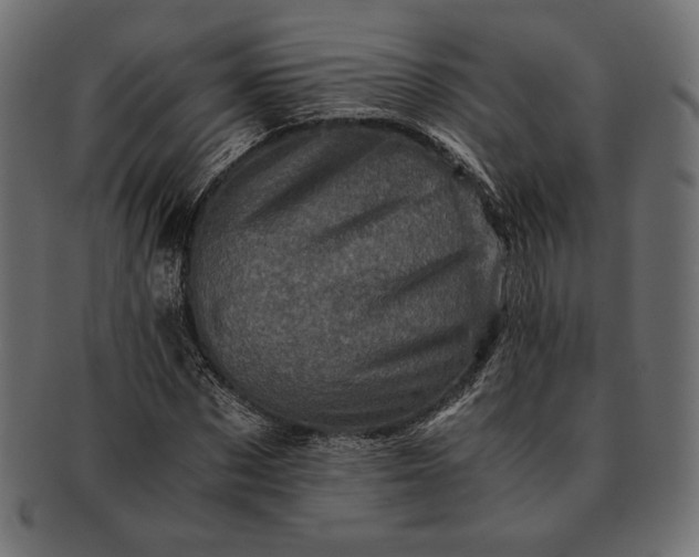 X0000091710873200709071410