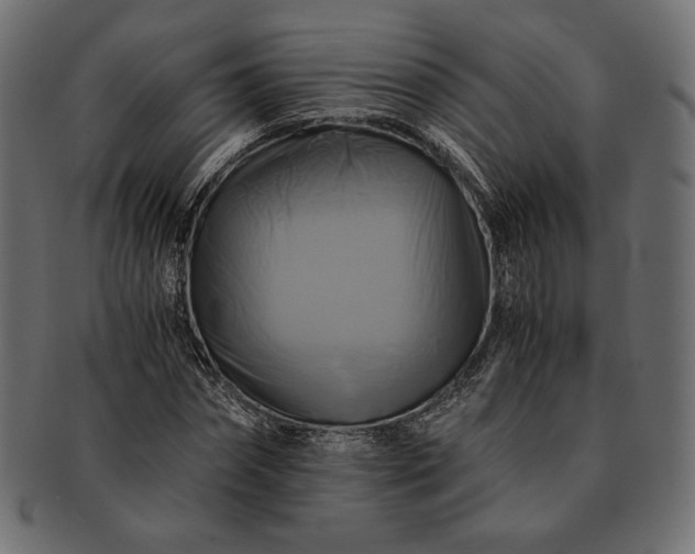 X0000091710874200709071410