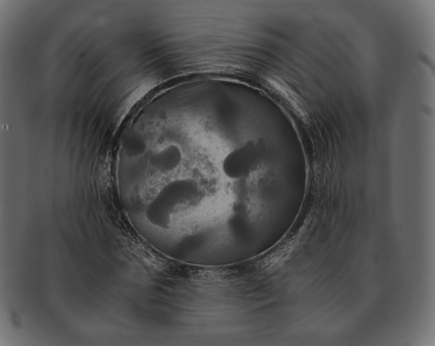 X0000091710875200709071410