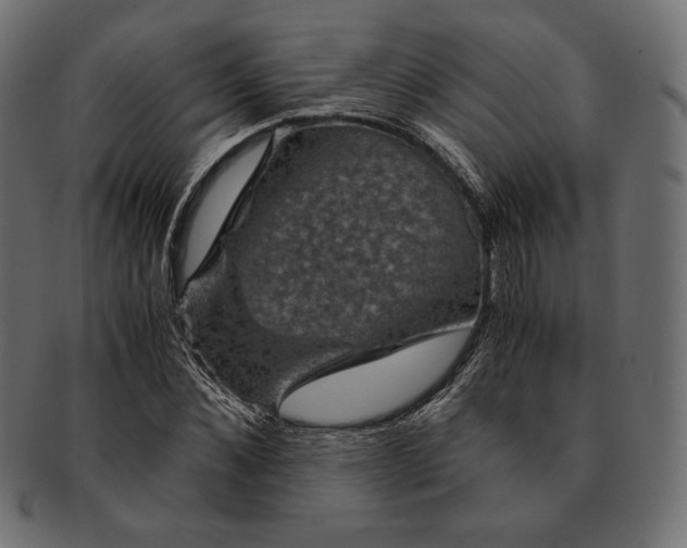 X0000091710876200709071410