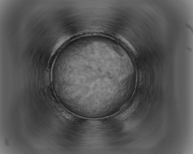 X0000091710878200709071410