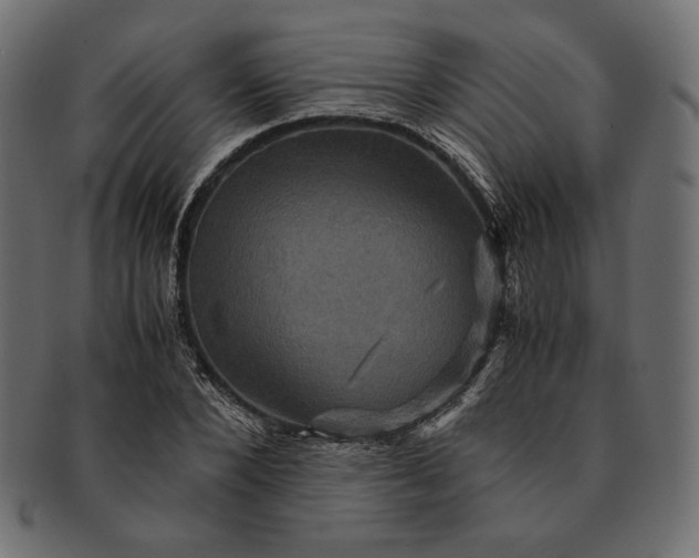 X0000091710880200709071410