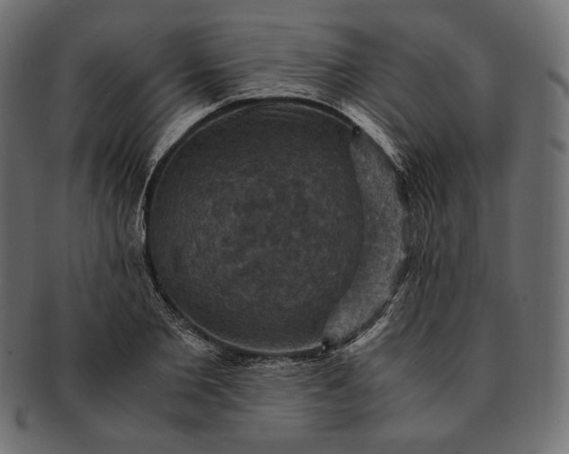 X0000091710885200709071410