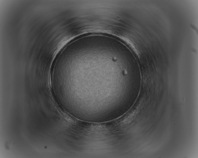 X0000091710887200709071410