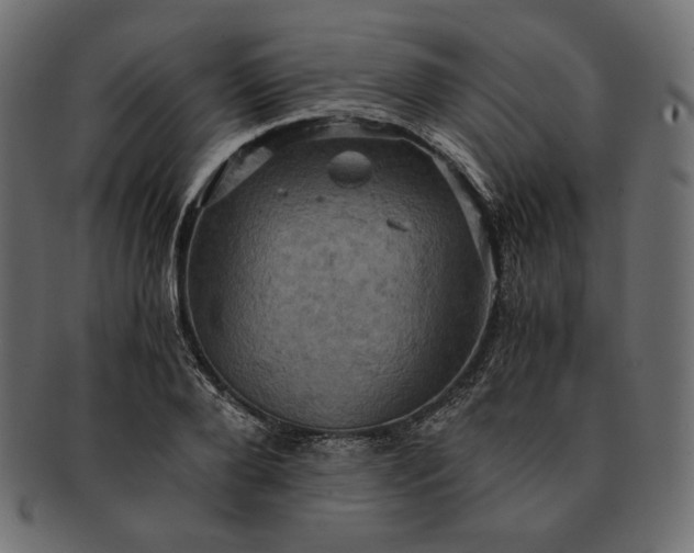 X0000091710888200709071410