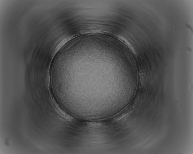 X0000091710890200709071410