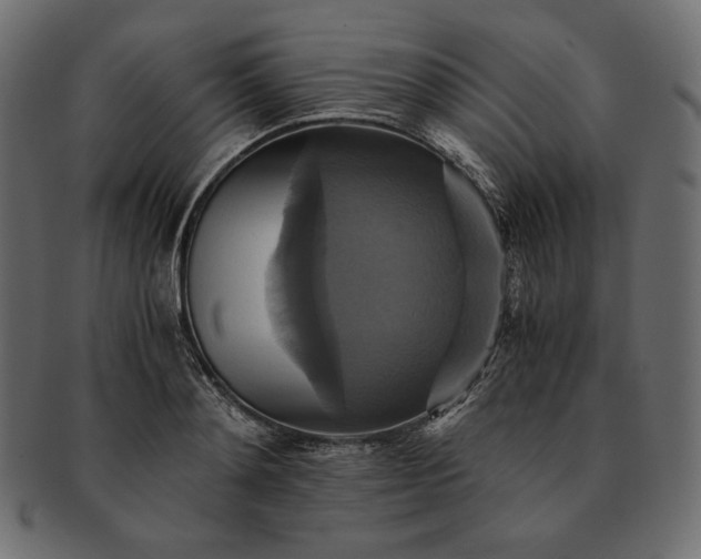 X0000091710892200709071410