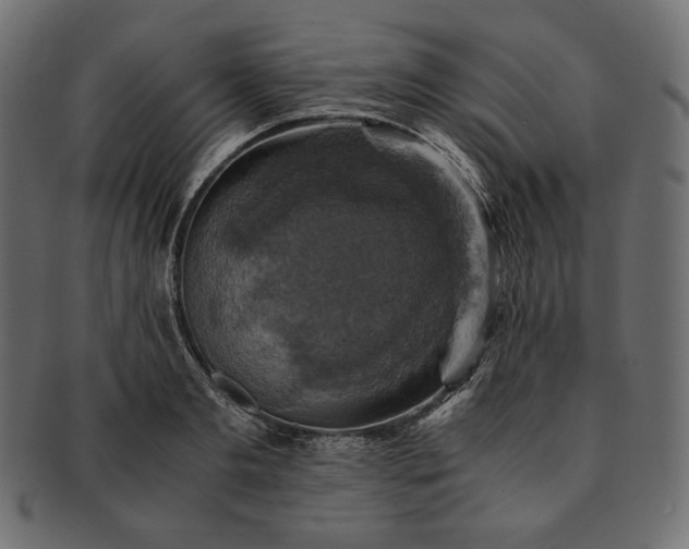 X0000091710893200709071410