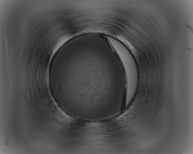 X0000091710894200709071410