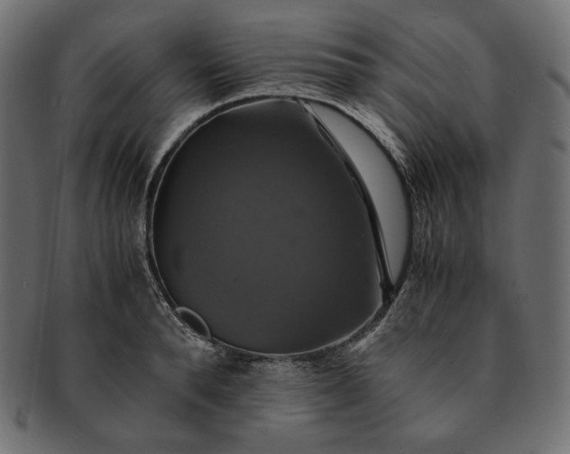 X0000091710896200709071410