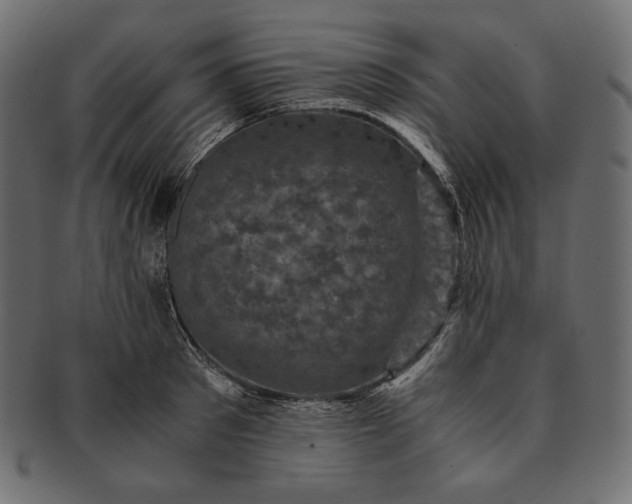 X0000091710897200709071410