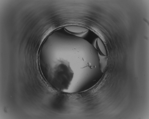 X0000091710899200709071410