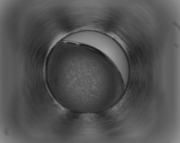 X0000091710902200709071410