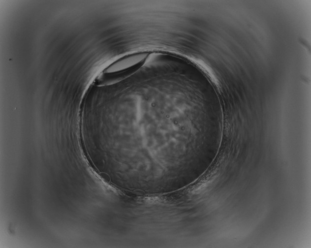 X0000091710903200709071410