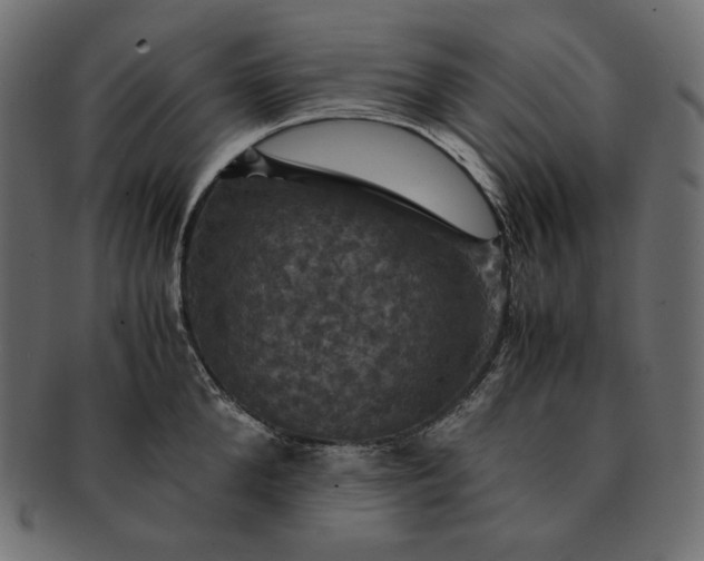 X0000091710904200709071410