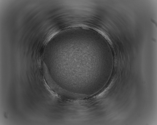 X0000091710905200709071410