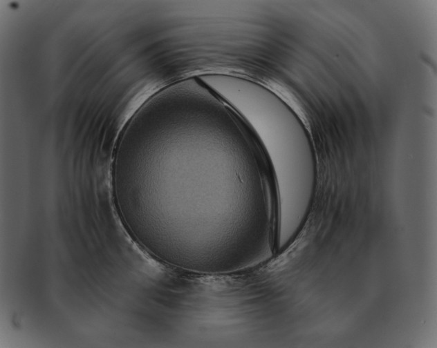 X0000091710906200709071410