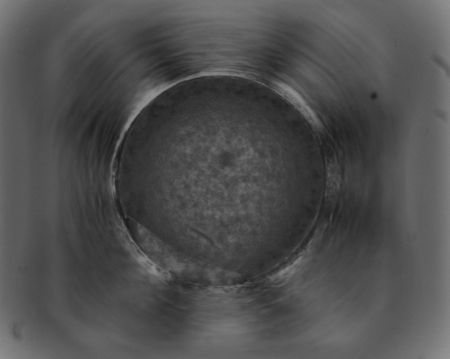 X0000091710908200709071410