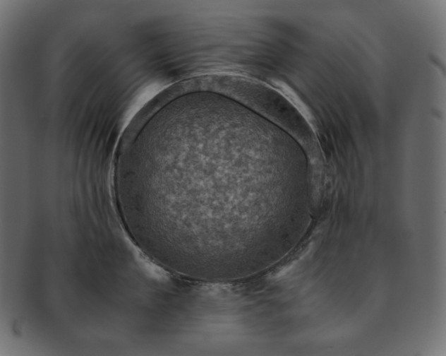 X0000091710909200709071410