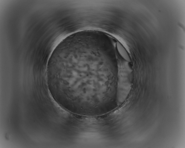 X0000091710911200709071410