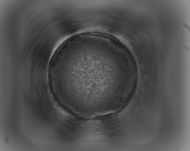 X0000091710912200709071410