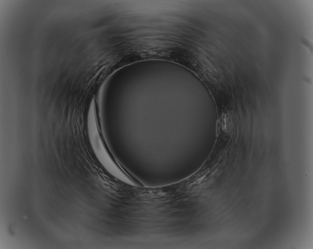 X0000091710915200709071409