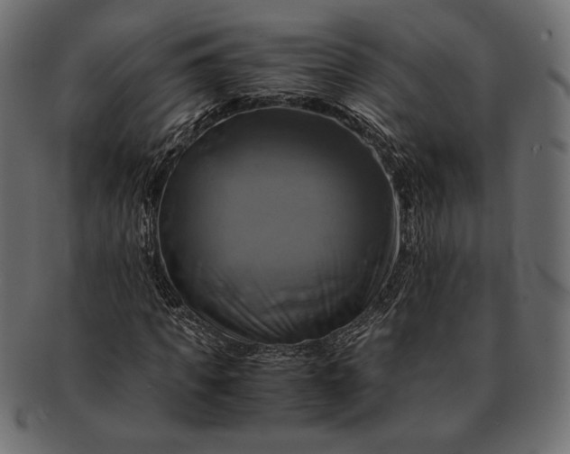 X0000091710917200709071409