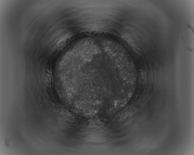 X0000091710918200709071409