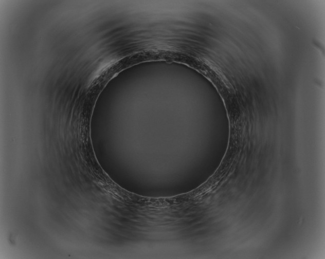 X0000091710919200709071409