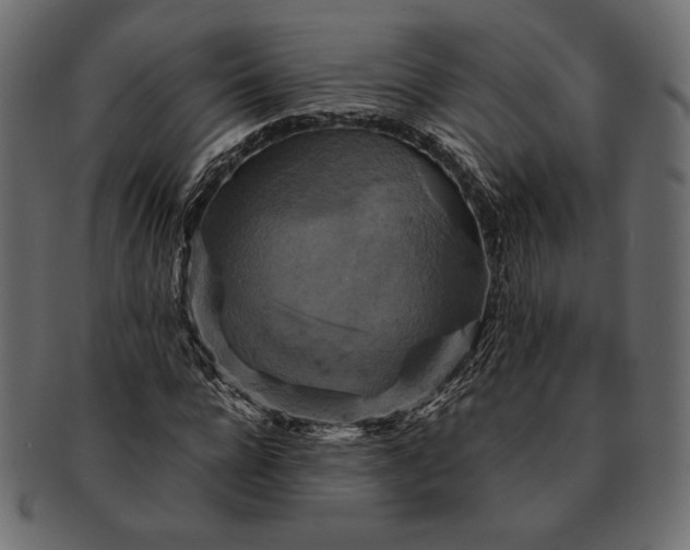 X0000091710920200709071409