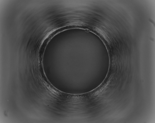 X0000091710923200709071409