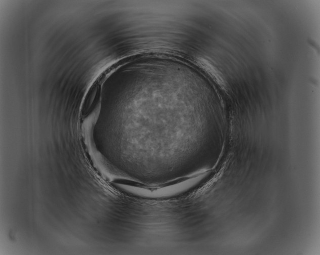 X0000091710924200709071409