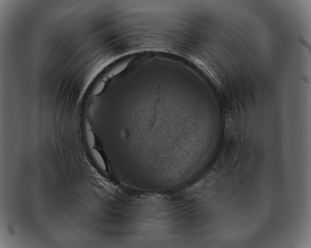 X0000091710926200709071409