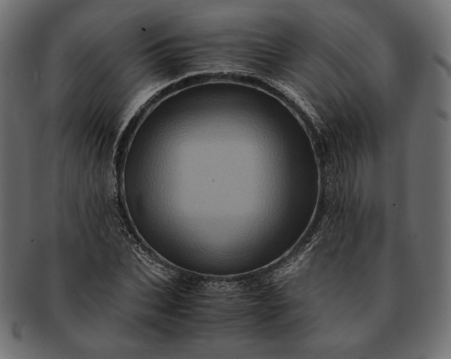 X0000091710927200709071409