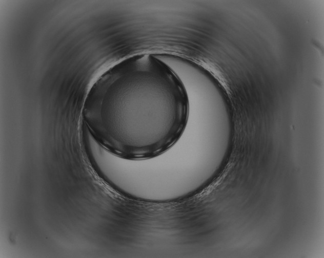 X0000091710928200709071409