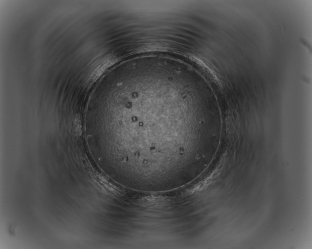 X0000091710929200709071409