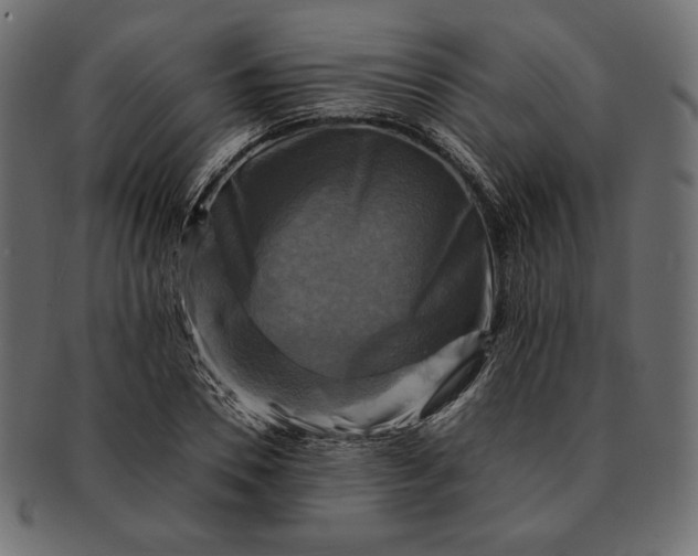 X0000091710930200709071409