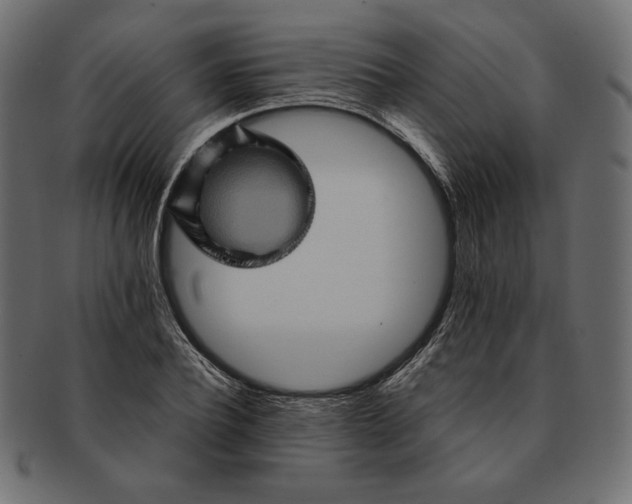 X0000091710932200709071409