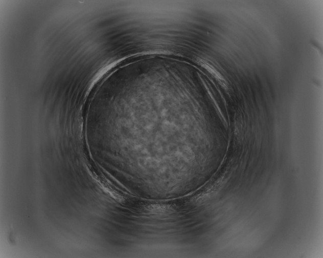 X0000091710933200709071409