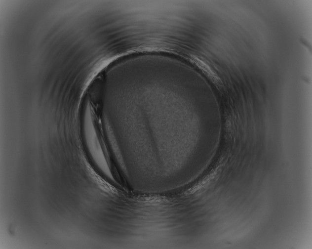 X0000091710934200709071409