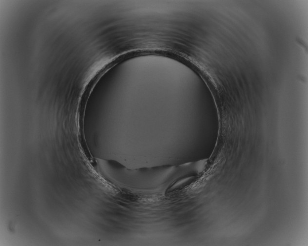 X0000091710935200709071409