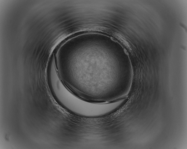 X0000091710936200709071409