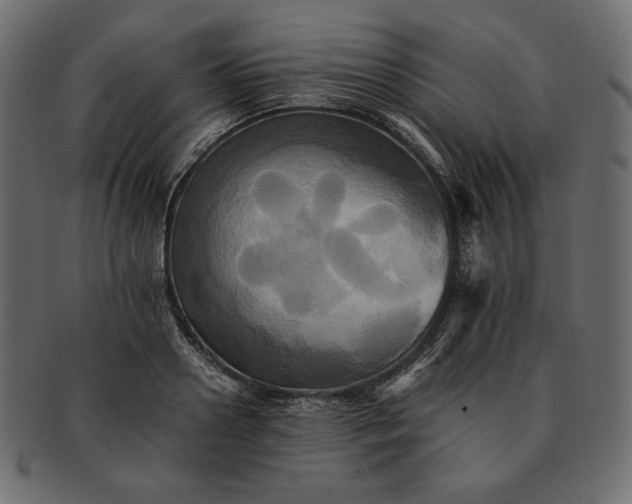 X0000091710938200709071409