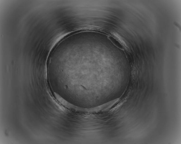 X0000091710940200709071409