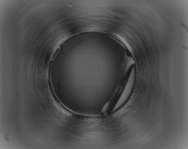 X0000091710946200709071409