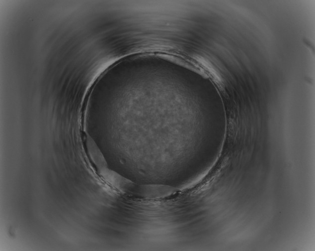 X0000091710948200709071409