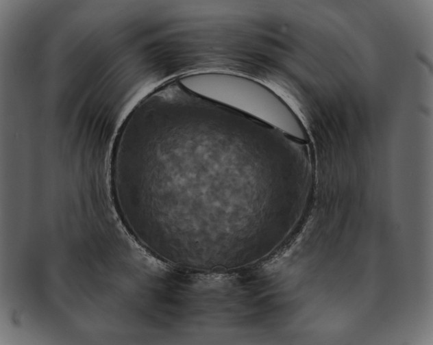 X0000091710949200709071409