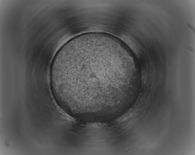 X0000091710950200709071409