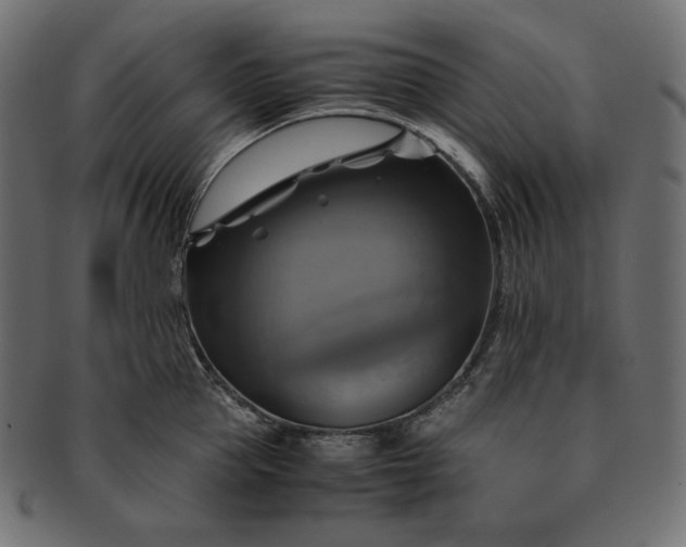 X0000091710953200709071409