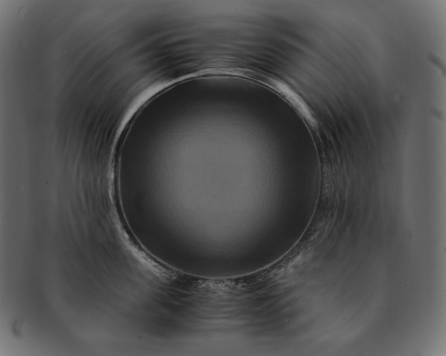 X0000091710955200709071409